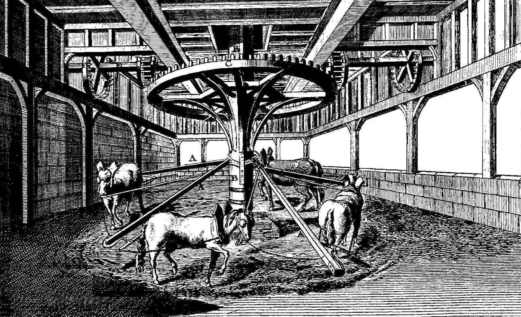 Chevaux de manège, illustration de l’article « Brasserie » de l’Encyclopédie Universelle de Diderot et d’Alembert, 2e moitié du 18e siècle.