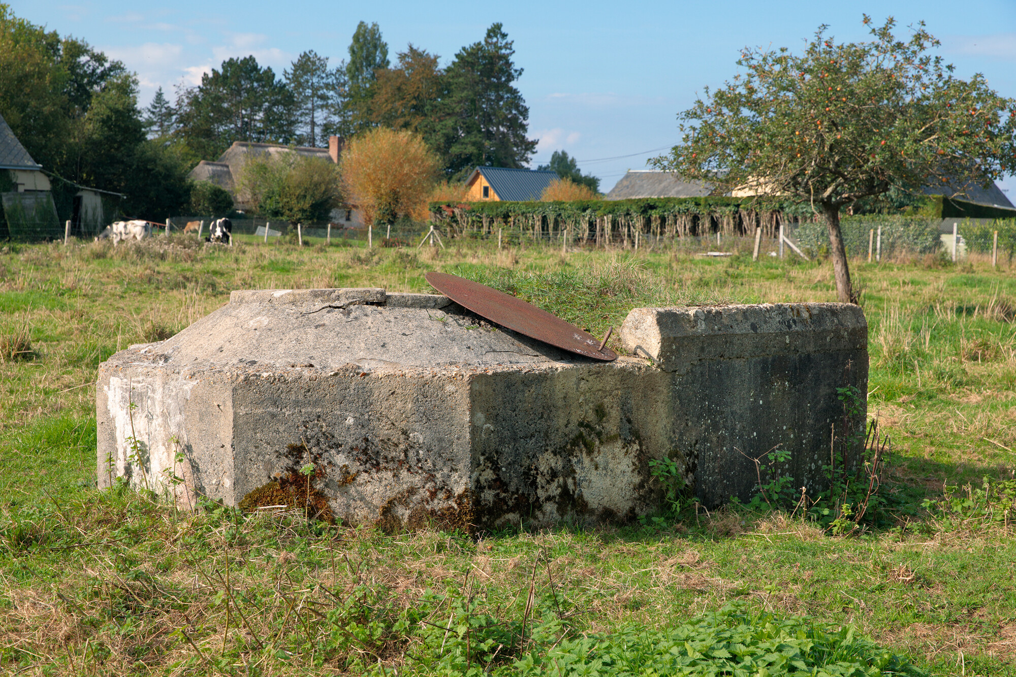 Forteresse du Havre (Festung) : Position du château des Tourelles, du nids de résistance codée Wn091 - Octeville-sur-mer. ; Trois quart avant gauche du Tobrouk nord de la parcelle à l'est de la position, vue en direction du sud-ouest.