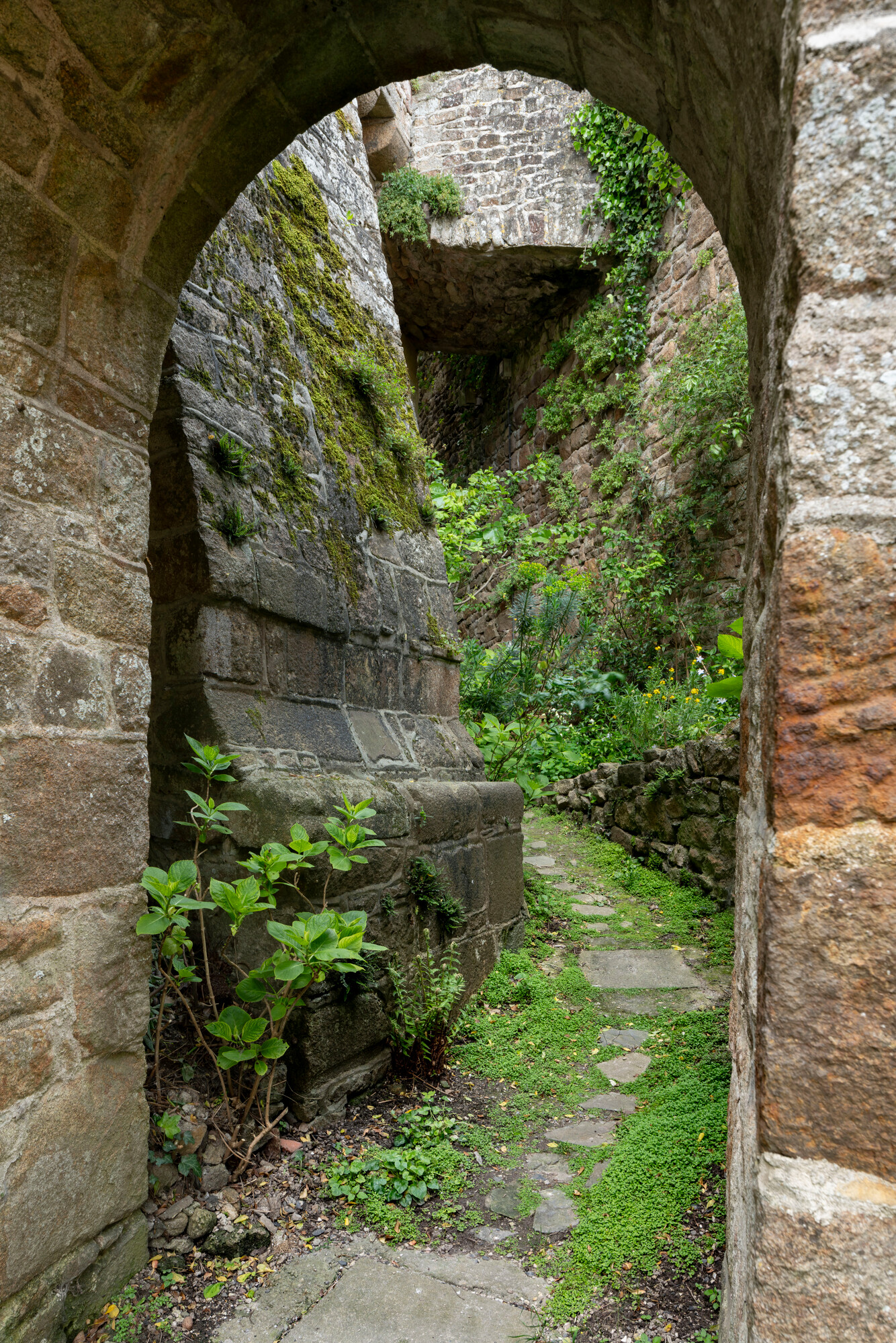 Entre les maisons et le rempart nord-est, un ancien fossé aménagé en jardin suit la déclivité du terrain. © Région Normandie – Inventaire général, Manuel de Rugy