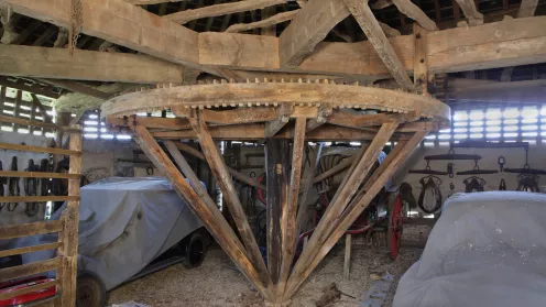 Photographie d'un manège à chevaux