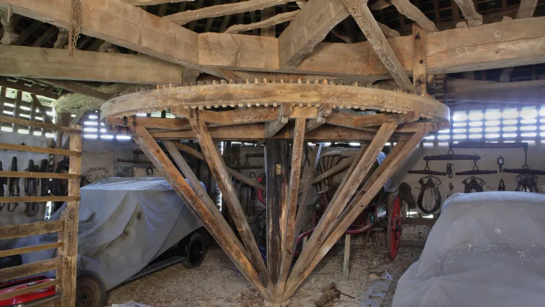 Photographie d'un manège à chevaux