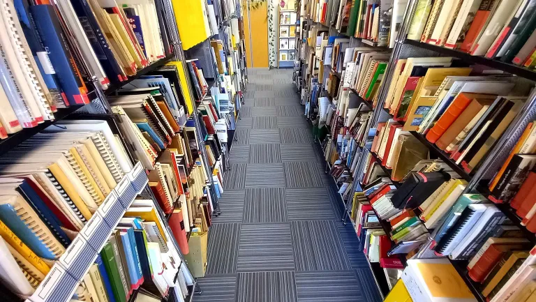 Photographie des rayons du centre de documentation