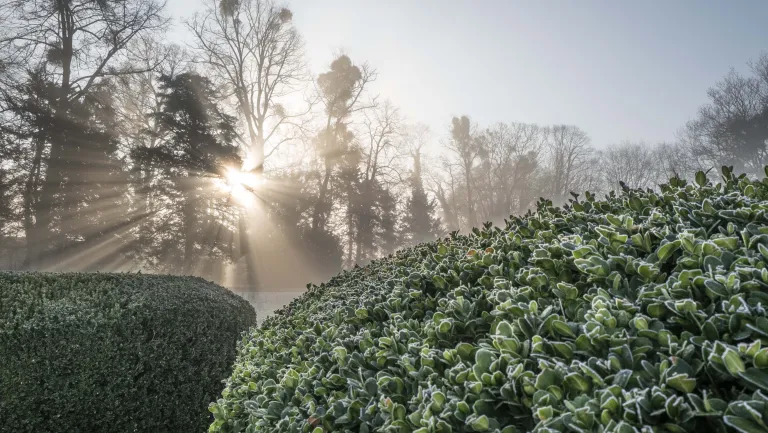 photo colloque Jumiège