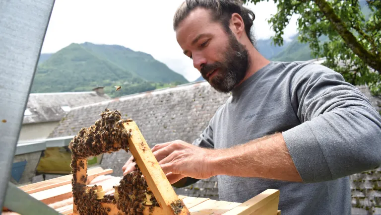 photo d'un apiculteur