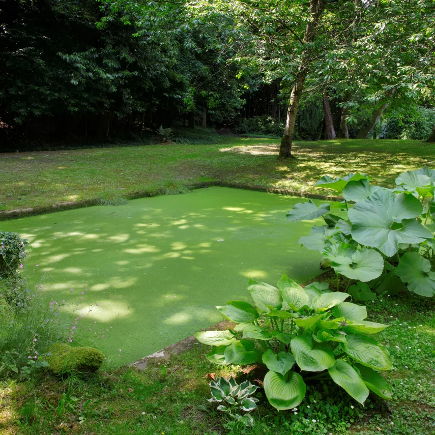 Photo du pédiluve du château de Chantore