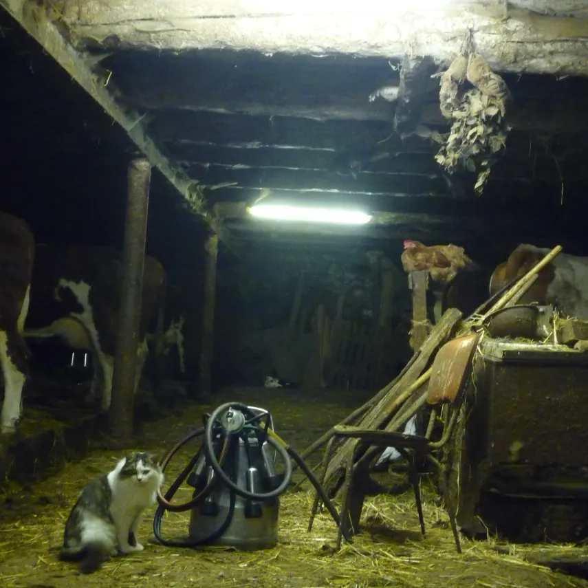 annonce décor ferme